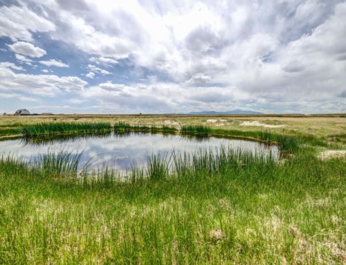Lot #10 8050 Peyton Hwy. (Remington)