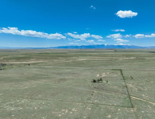 Great Location – 0 S Peyton Hwy