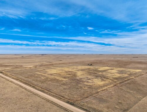 Great 120 Acre Corner Parcel – 0 Corona Rd