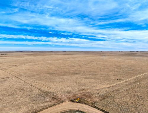 320 Acre Parcel – 0 Oil Well Road