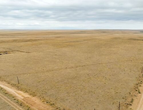 Yoder Countryside – 30390 Carl Vw