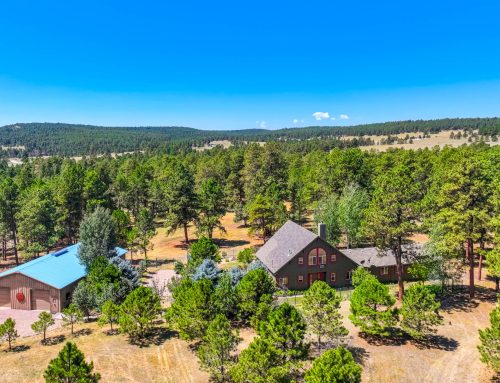 Unique Piece of Paradise – 18771 Smokey Pine Rd N