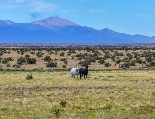 Colorado Springs 45 Acre Lot – 15575 Degroot Rd